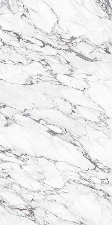 अरेबेस्कैटो व्हाइट-वॉशरूम बैकप्लेश